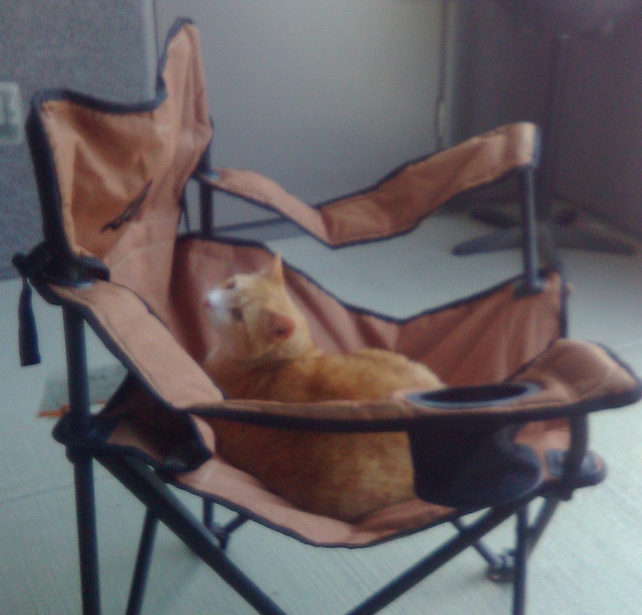 Our mascot, Pixel J. Cat, lounging in a camping chair
